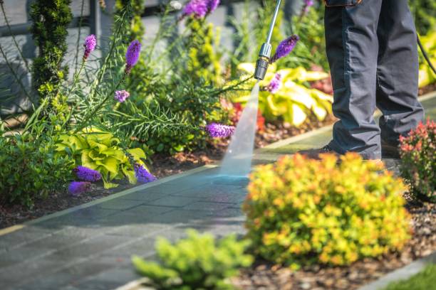Best Driveway Pressure Washing  in Solana Beach, CA
